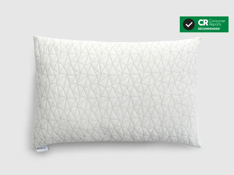 Coop Home Goods Original adjustable pillow